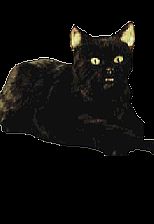 Salem_The_Cat