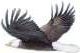 Eagle in flightlft