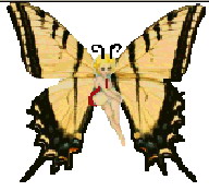 ButterflyGirl
