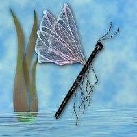 Kandles_Dragonfly