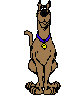 ScoobyD